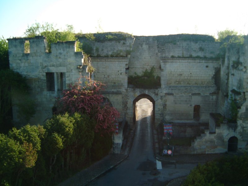Photograph