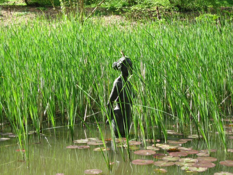 photo28.jpg