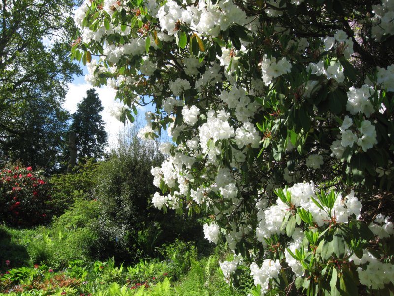 photo34.jpg