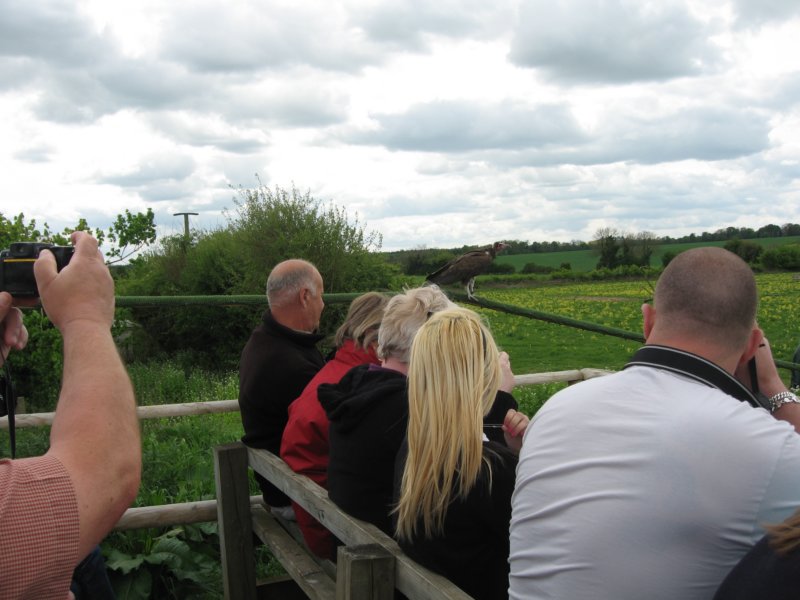 photo55.jpg