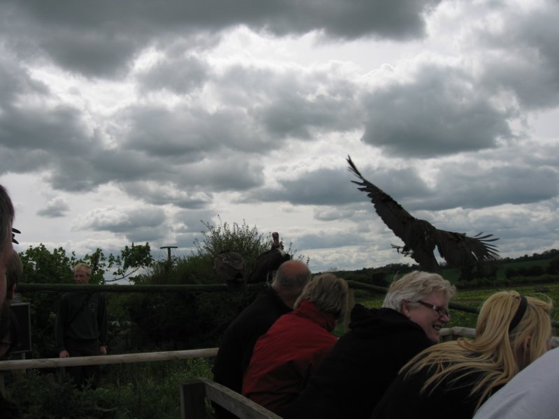 photo59.jpg