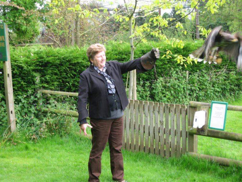 photo69.jpg