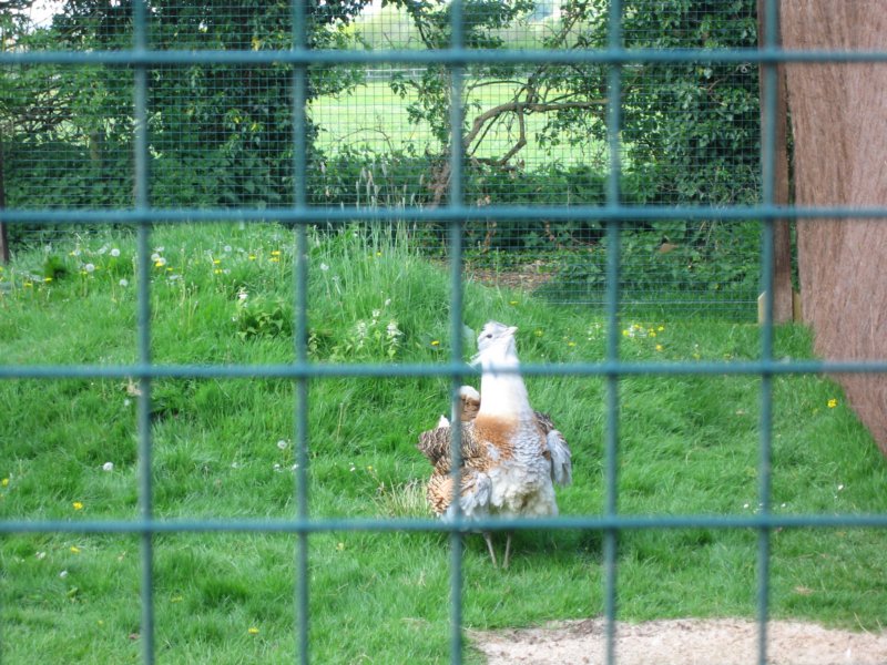 photo82.jpg