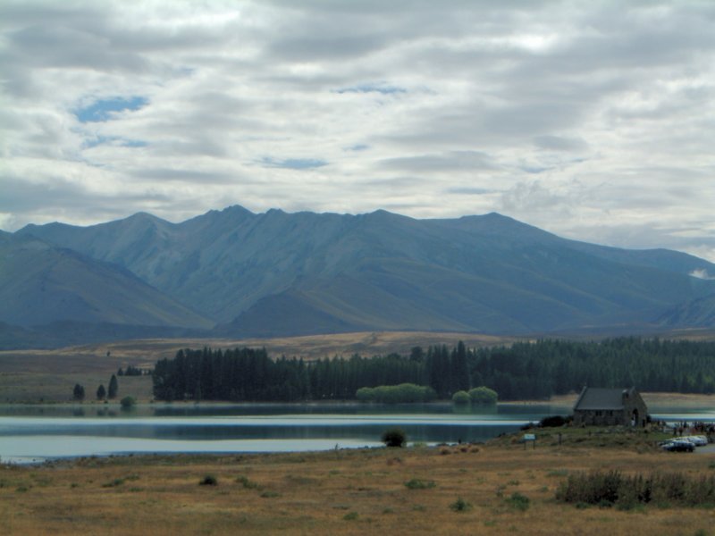 Photograph