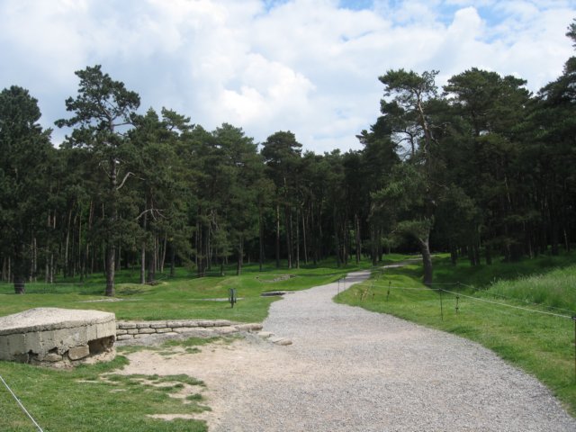 laontwinningmay2008003.jpg