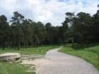 laontwinningmay2008003_small.jpg
