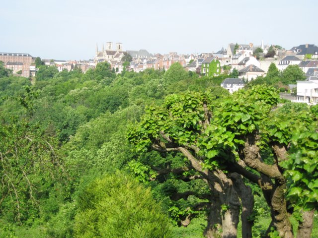 laontwinningmay2008012.jpg