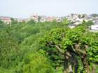 laontwinningmay2008012_small.jpg
