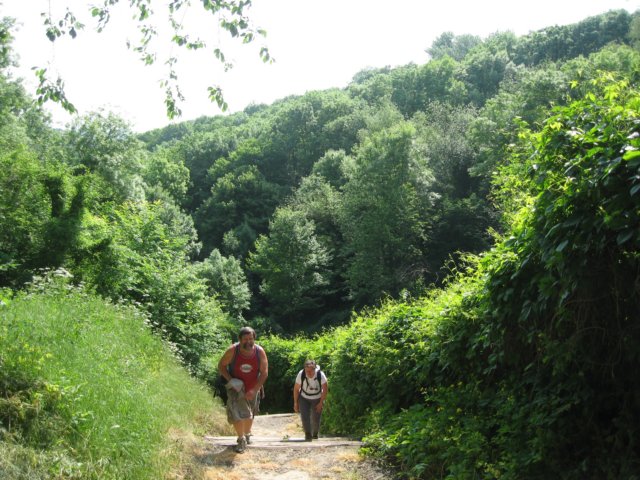 laontwinningmay2008013.jpg