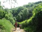 laontwinningmay2008013_small.jpg