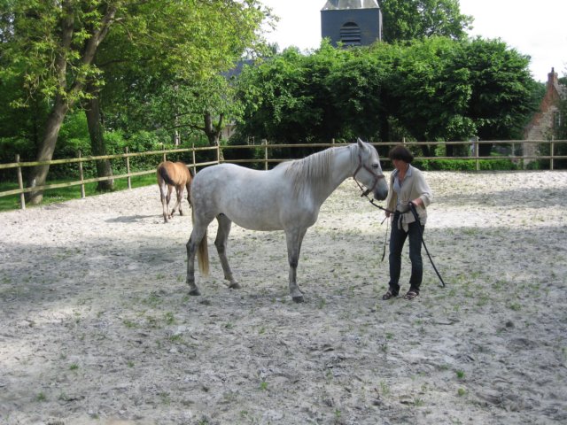 laontwinningmay2008035.jpg